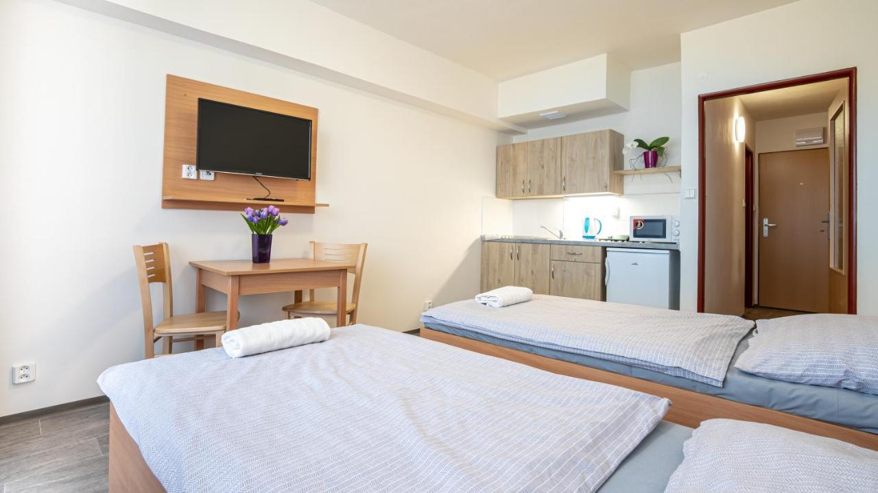 Apartmany A Studia Zamecky Park Litvinov Ngoại thất bức ảnh