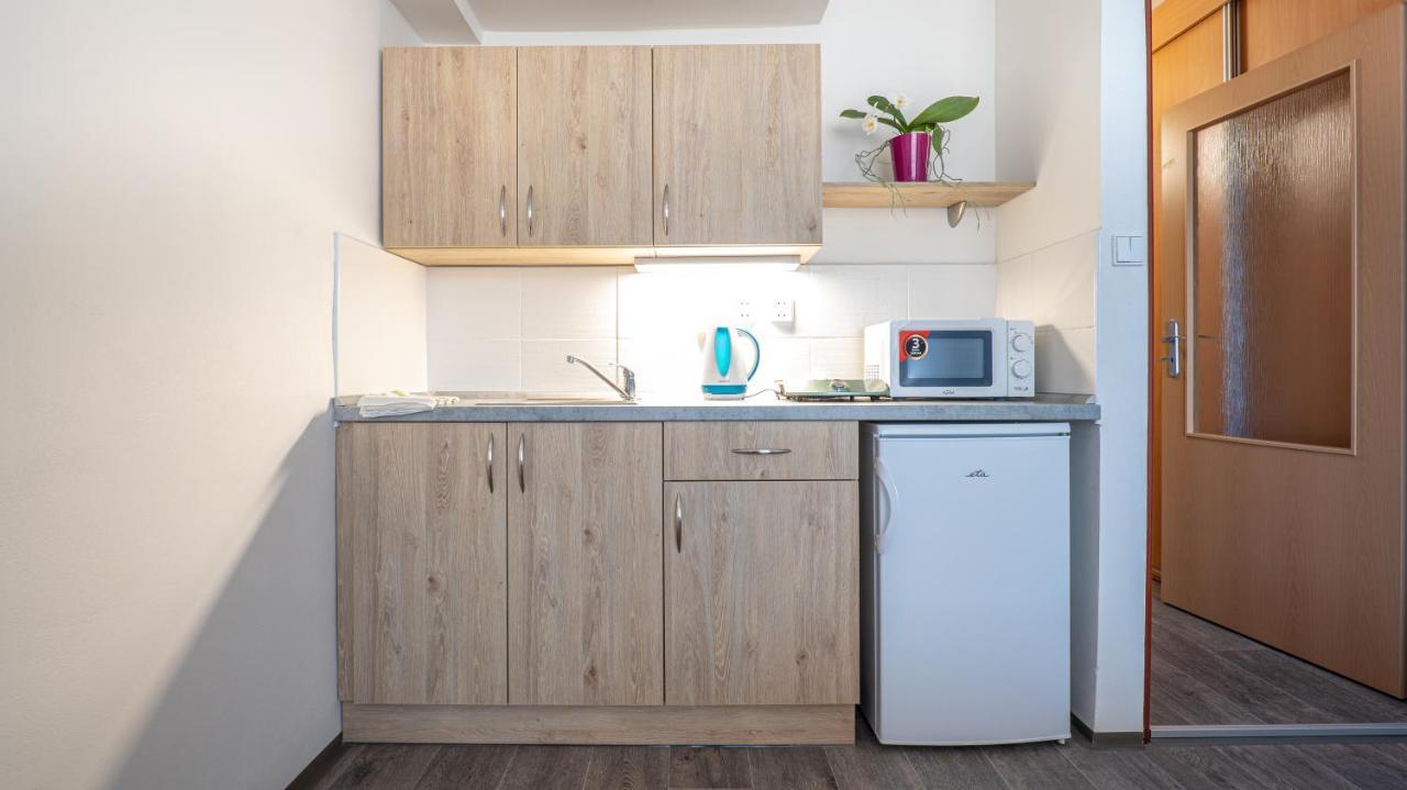 Apartmany A Studia Zamecky Park Litvinov Ngoại thất bức ảnh